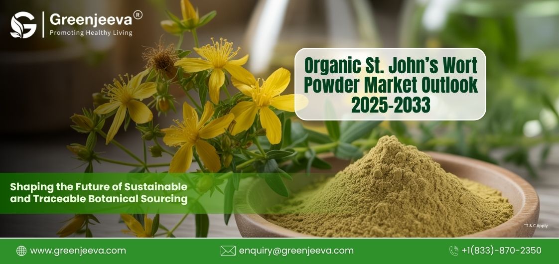 Why Organic St. John’s Wort Powder Is Gaining Momentum in the Global Ingredient Market